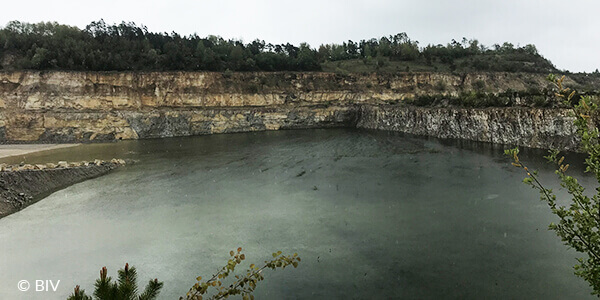 Naturschutz und Rohstoffindustrie gemeinsam für den Amphibienschutz